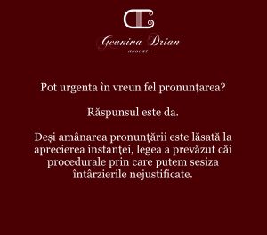 Instanța amână pronunțarea!