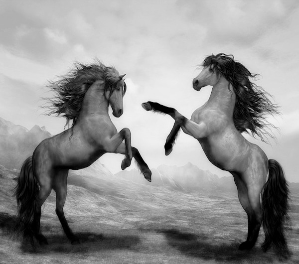 bunurile devin comune dupa 5 ani