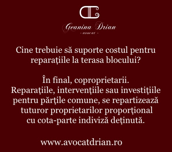 terasa blocului cine repara 